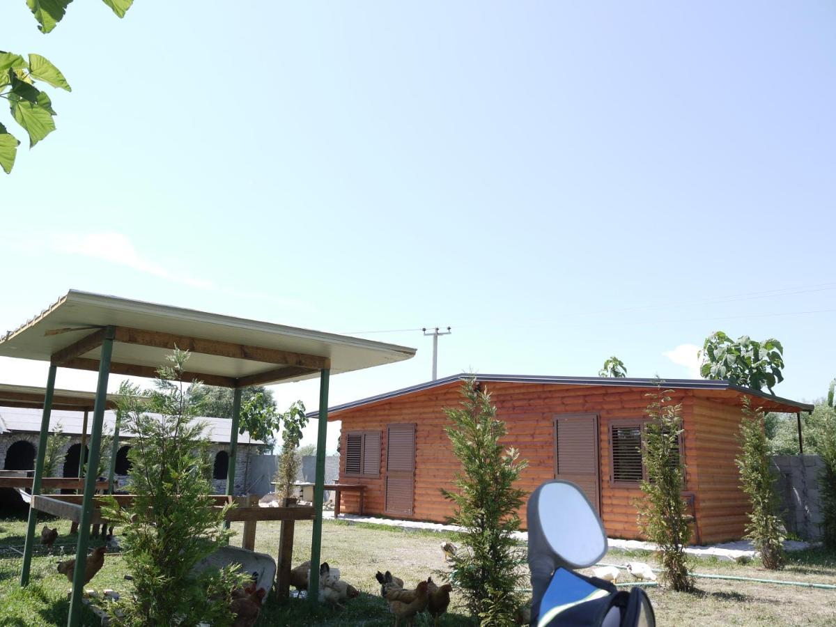 Windmill Shkodra Gesthouse Camping & Grill Shkodër Exterior foto
